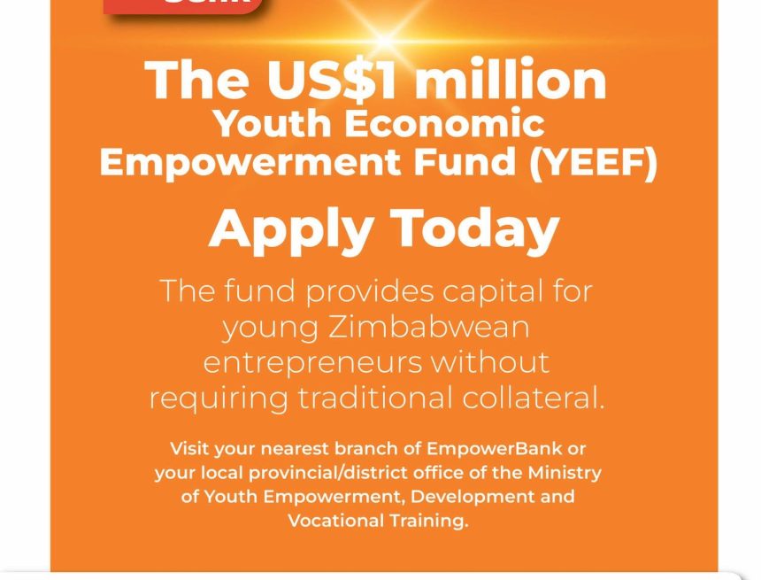 Development Finance & SMME Support: The USD $1 Million Youth Economic Empowerment Fund (YEEF) Development Finance & SMME Support: The USD $1 Million Youth Economic Empowerment Fund (YEEF)