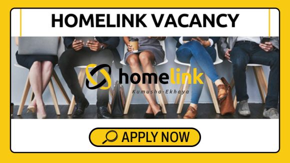 Apply for the Homelink Assistant ICT manager vacancy in Harare