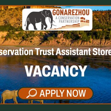 Construction Logistics & Supply Chain Careers: Gonarezhou Conservation Trust Assistant Storeman Vacancy