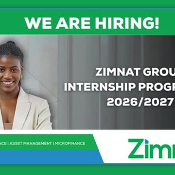 Apply for the Zimnat Internship Programme accounting, finance, IT, data science, human resources, and related fields