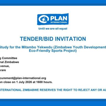 Plan International Tender Invitation for Baseline Study Under the Mitambo Yekwedu Youth Development Project