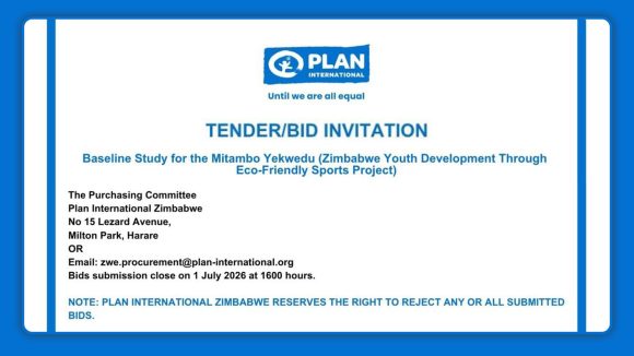 Plan International Tender Invitation for Baseline Study Under the Mitambo Yekwedu Youth Development Project