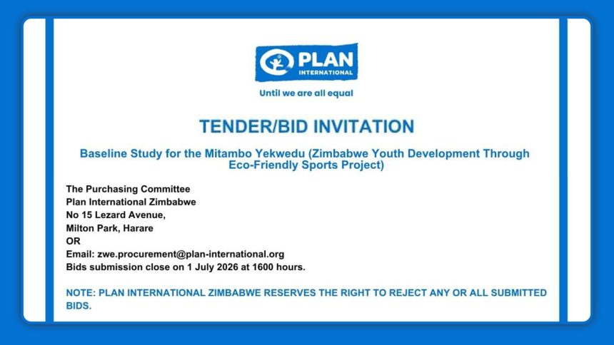 Plan International Tender Invitation for Baseline Study Under the Mitambo Yekwedu Youth Development Project