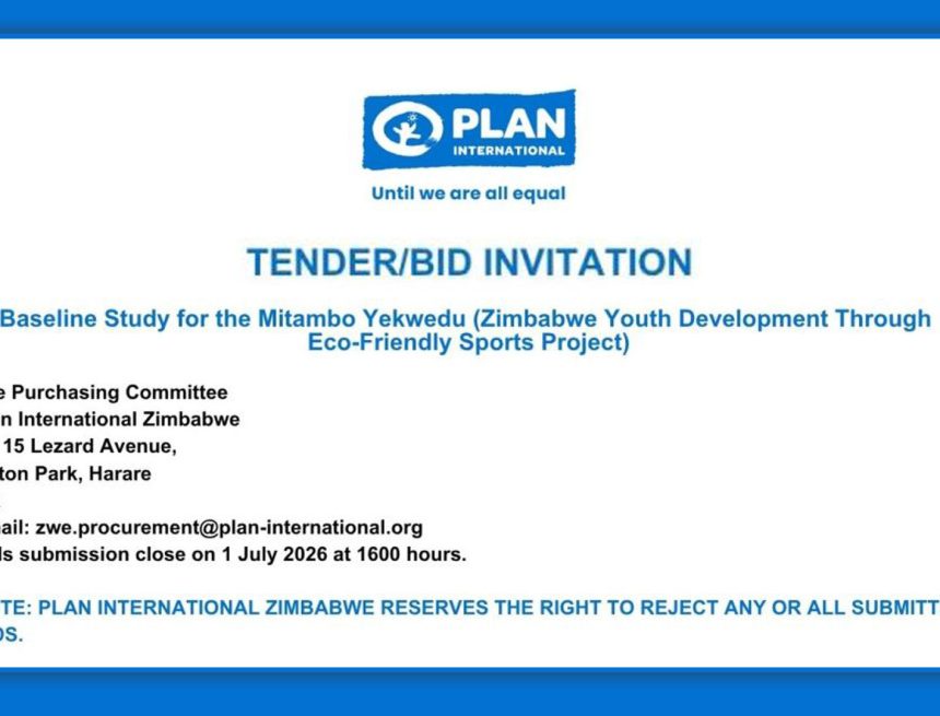 Plan International Tender Invitation for Baseline Study Under the Mitambo Yekwedu Youth Development Project