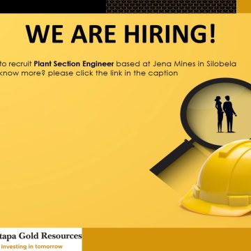 Apply for the Plant Section Engineer vacancy in Silobela, Zimbabwe.
