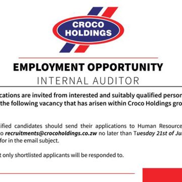 Croco Holdings Internal Auditor Vacancy – Apply Before 21 July 2026