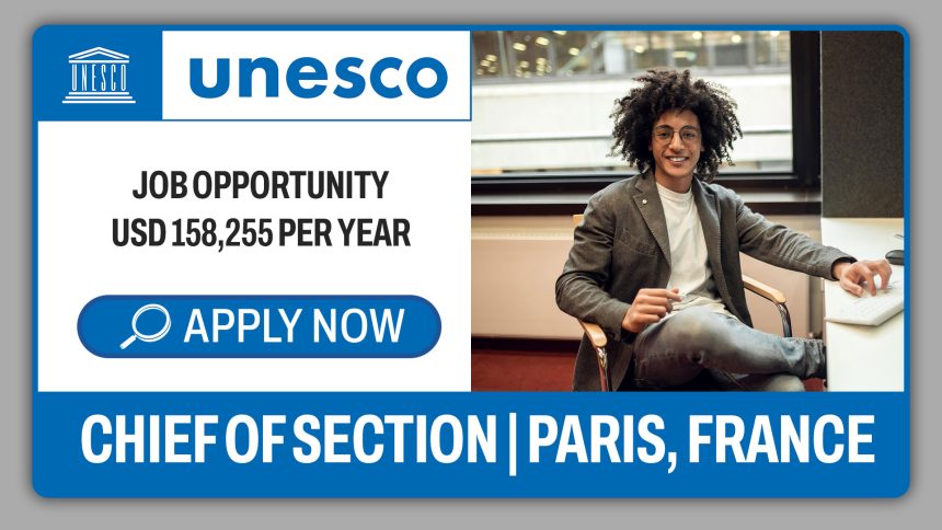 Chief of Section (Tsunami Resilience) Job opportunity at UNESCO Paris